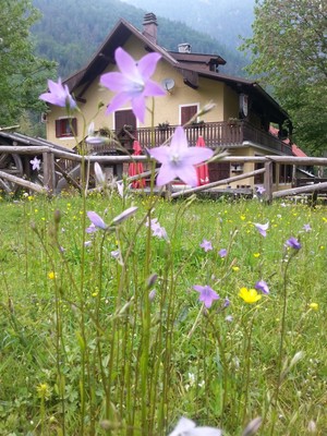 Foto esterno Trattoria Jôf di Montasio