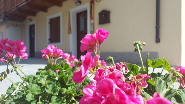 L'ingresso