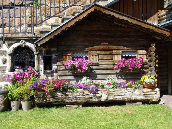 Photo of the garden Ortisei / St. Ulrich