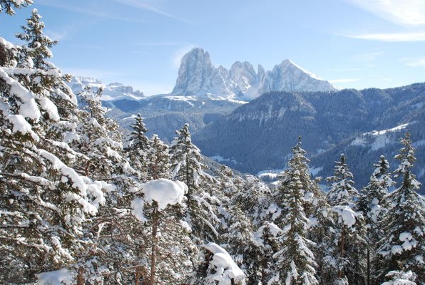Immagine Bed & Breakfast Resciesa Stazione a monte