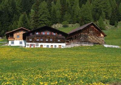 Foto esterno B&B + Appartamenti in agriturismo Drockerhof