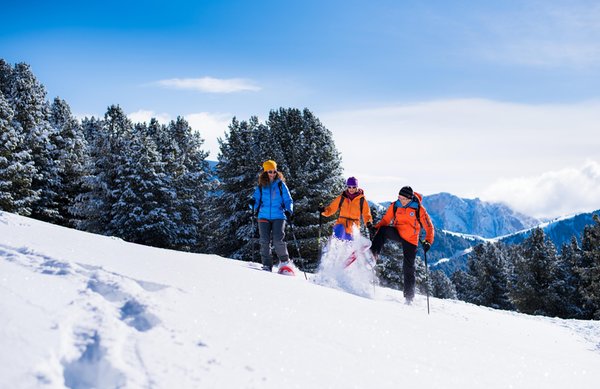 Winter activities Val Gardena / Gröden
