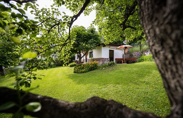Foto esterno in estate La Rondula - Residence Chalet Garni
