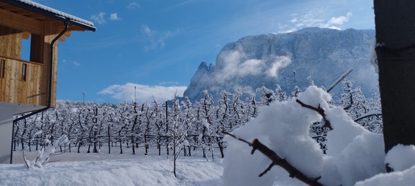 Foto Außenansicht Ferienwohnungen auf dem Bauernhof Neuhuberhof