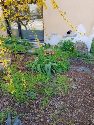Foto vom Garten Pergine Valsugana