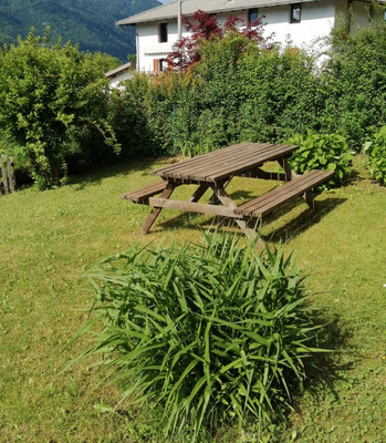 Photo of the garden Levico Terme