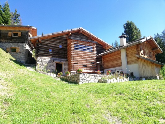 Foto esterno Alpenchalet Waldl