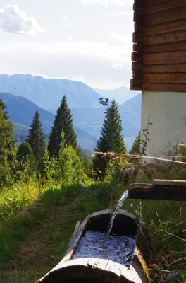 Foto del giardino Palù del Fersina (Valle dei Mocheni)