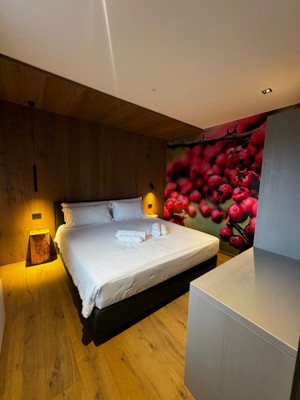 Foto della camera LA DANE Zoncolan Aparthotel & Spa