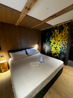 Foto della camera LA DANE Zoncolan Aparthotel & Spa