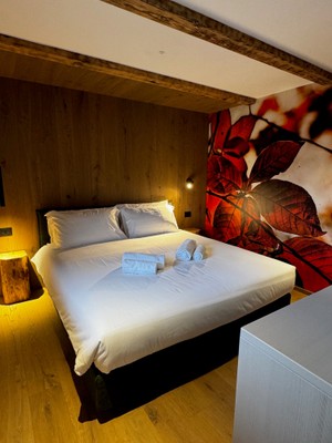 Foto della camera LA DANE Zoncolan Aparthotel & Spa