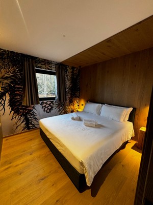 Foto della camera LA DANE Zoncolan Aparthotel & Spa