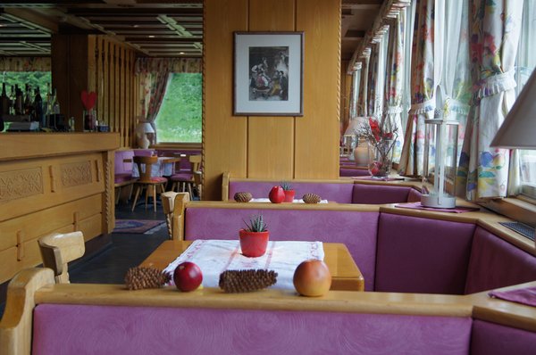 Le parti comuni Hotel Planac - Golf & Ski