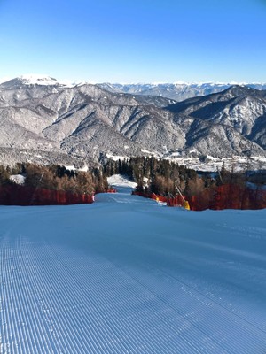 Attività Alpi Friulane