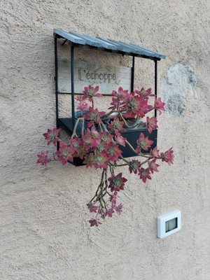 The entrance