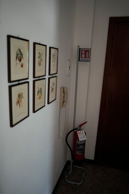 Photo of the apartment Mansarde lavande de Savoie
