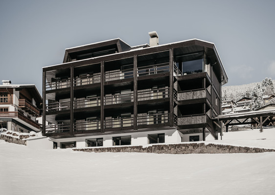 Foto esterno Dolomites Chalet Niuasi