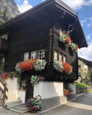 Foto esterno Bed & Breakfast Hirsch 1609