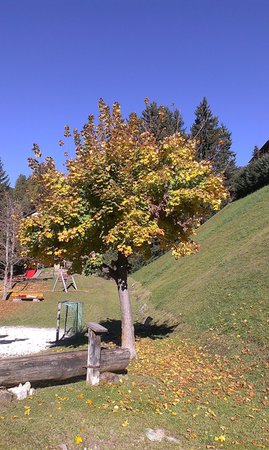 Foto del giardino Ortisei