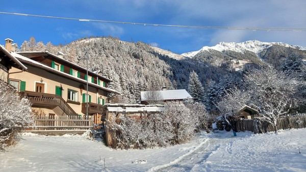 Foto esterno Larix Apartments