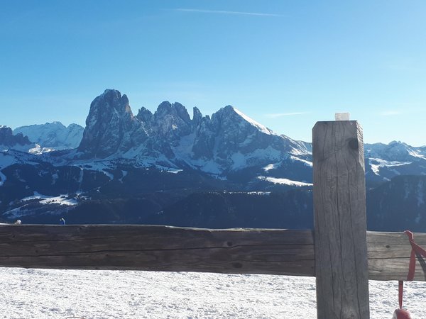 Bildergalerie Winter