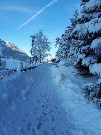 Bildergalerie Winter