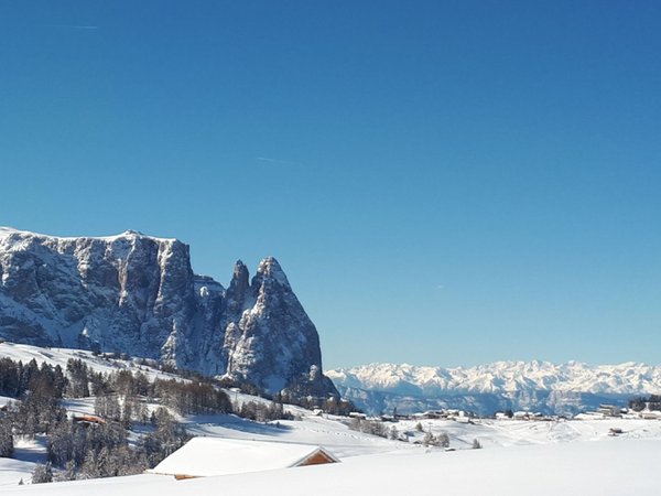 Bildergalerie Winter