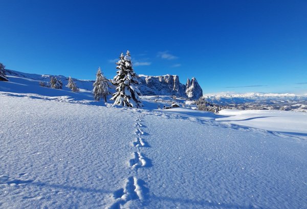 Bildergalerie St. Ulrich Winter