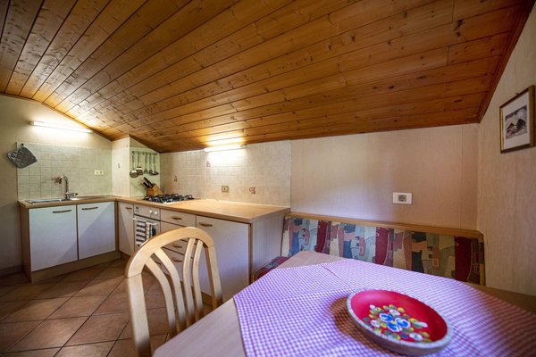 Photo of the kitchen Trebe