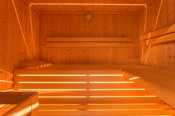Foto della sauna Laion
