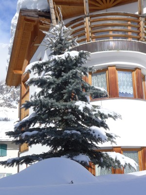 Foto Außenansicht Ferienwohnung Villa Alpi - Kostner