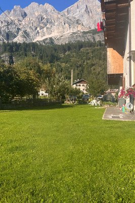 Photo of the garden Borca di Cadore