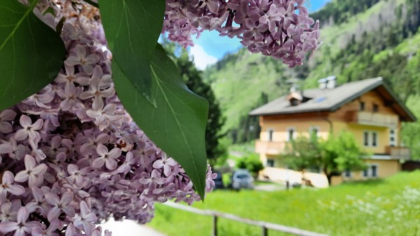 Photo exteriors B&BeautyFol live nature Dolomites