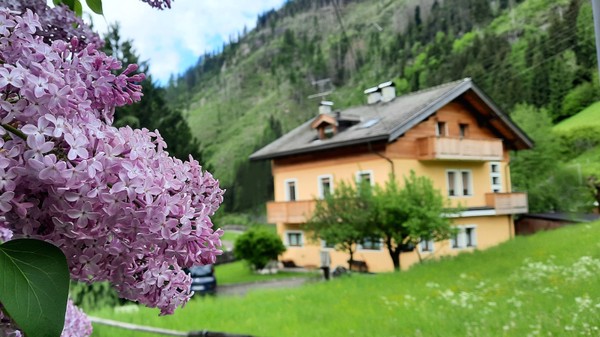 Photo exteriors B&BeautyFol live nature Dolomites