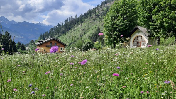 Photo exteriors B&BeautyFol live nature Dolomites