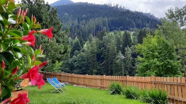 Photo of the garden Predazzo