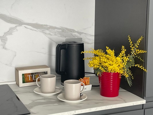 Photo of the kitchen Ca Marasciol