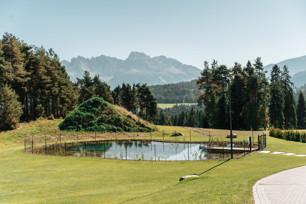 Gallery Nova Ponente