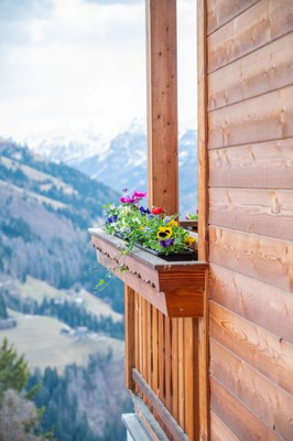 Foto Außenansicht Ferienwohnung auf dem Bauernhof Brunnerhof