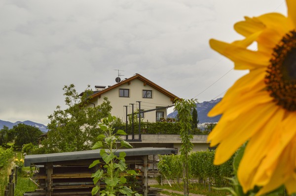 Foto Außenansicht Ferienwohnungen auf dem Bauernhof Tollhof