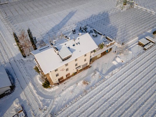 Foto esterno Appartamenti in agriturismo Tollhof