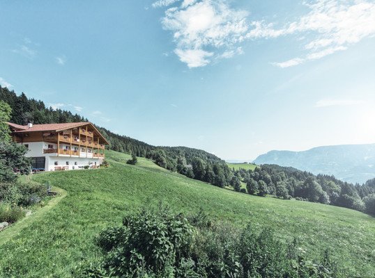Foto esterno Appartamenti in agriturismo Thalerhof