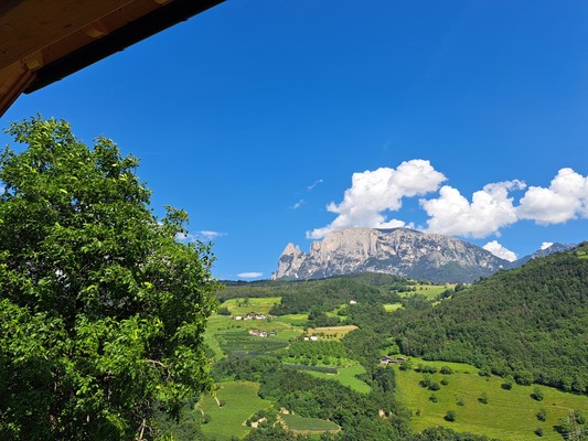 View from the business