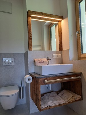 Photo of the bathroom Farmhouse apartments Pignathof