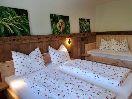 Photo of the room Farmhouse apartments Pignathof