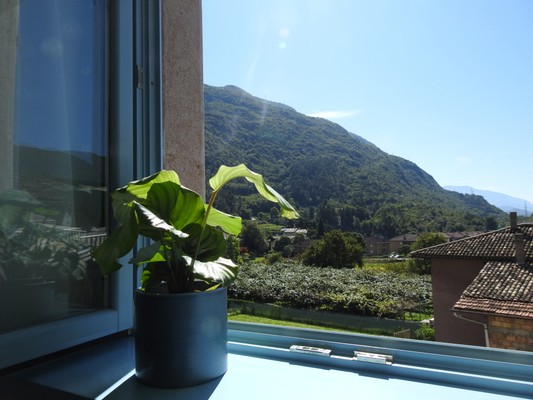 Aussicht vom Betrieb