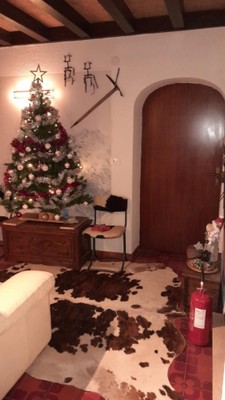 La zona giorno Appartamenti Casa Gugjet Cuore Carnico