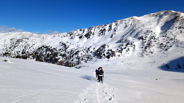 Attività Alpi Friulane