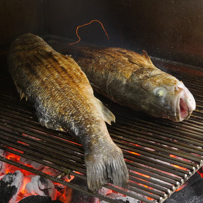 Il cibo