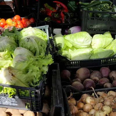 Il cibo